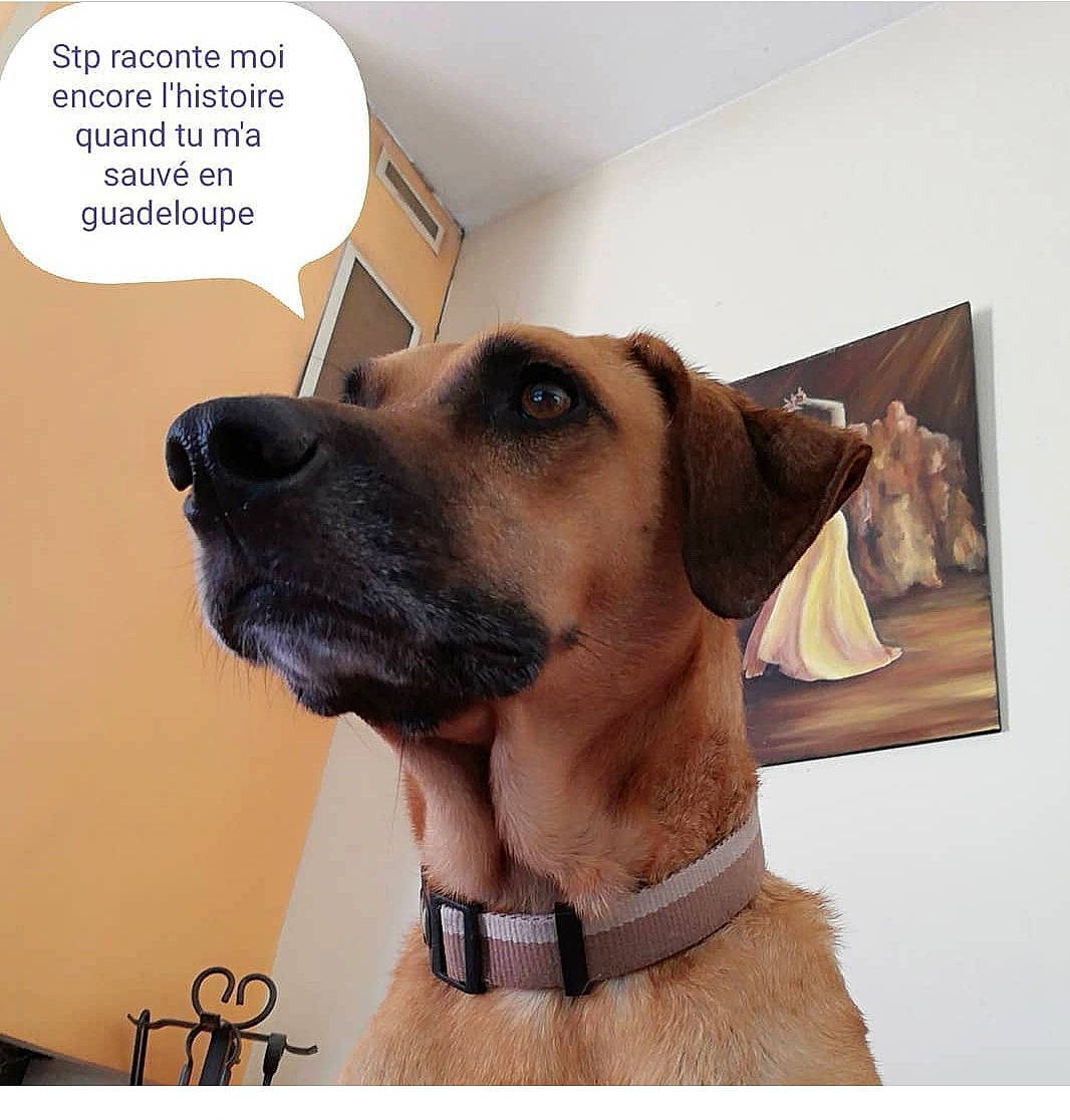 Gwada