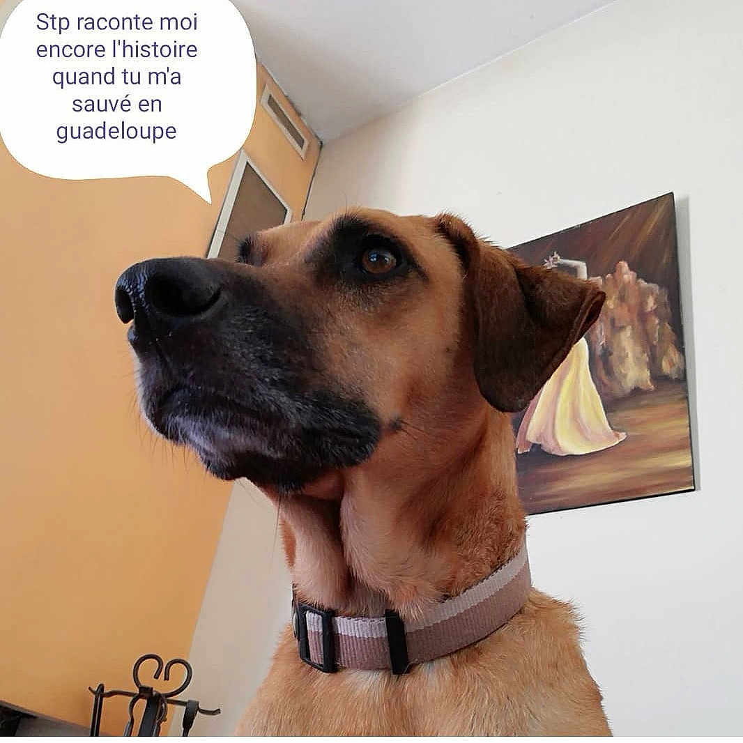 Gwada