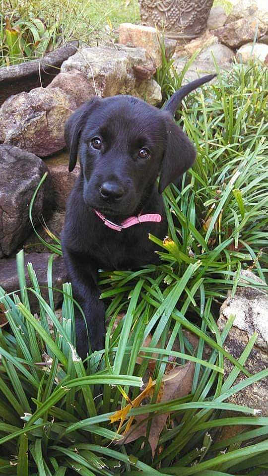 Precious