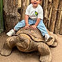 child, toddler, wooden_tortoise, sculpture, outdoor, wood, playground, casual_clothing, sneakers, jeans, white_tshirt, smiling, happy, nature, dirt_ground, fence, daylight, portrait, cute, fun