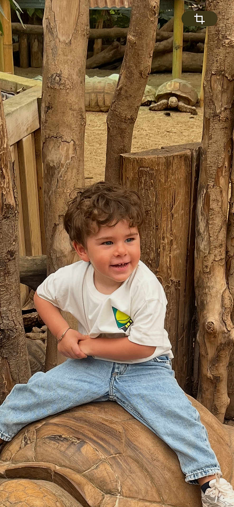 Kaïden participe au concours pour gagner de l'argent avec cette photo : child, tortoise, sculpture, wood, logs, nature, outdoor, curly_hair, white_tshirt, blue_jeans, sneakers, smiling, playful, animal, reptile, fence, sand, park, daylight, happy