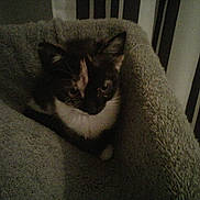 Hally participe au concours pour gagner de l'argent avec cette photo :