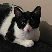 Gaïa participe au concours pour gagner de l'argent avec cette photo :