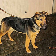 Iron participe au concours pour gagner de l'argent avec cette photo :