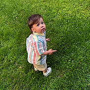 Luca joined the competition — help win amazing prizes! toddler, child, grass, outdoor, curious, striped_shirt, shorts, white_shoes, socks, standing, pointing, greenery, nature, summer, young_child, casual_clothing, daylight, portrait, exploring, lawn