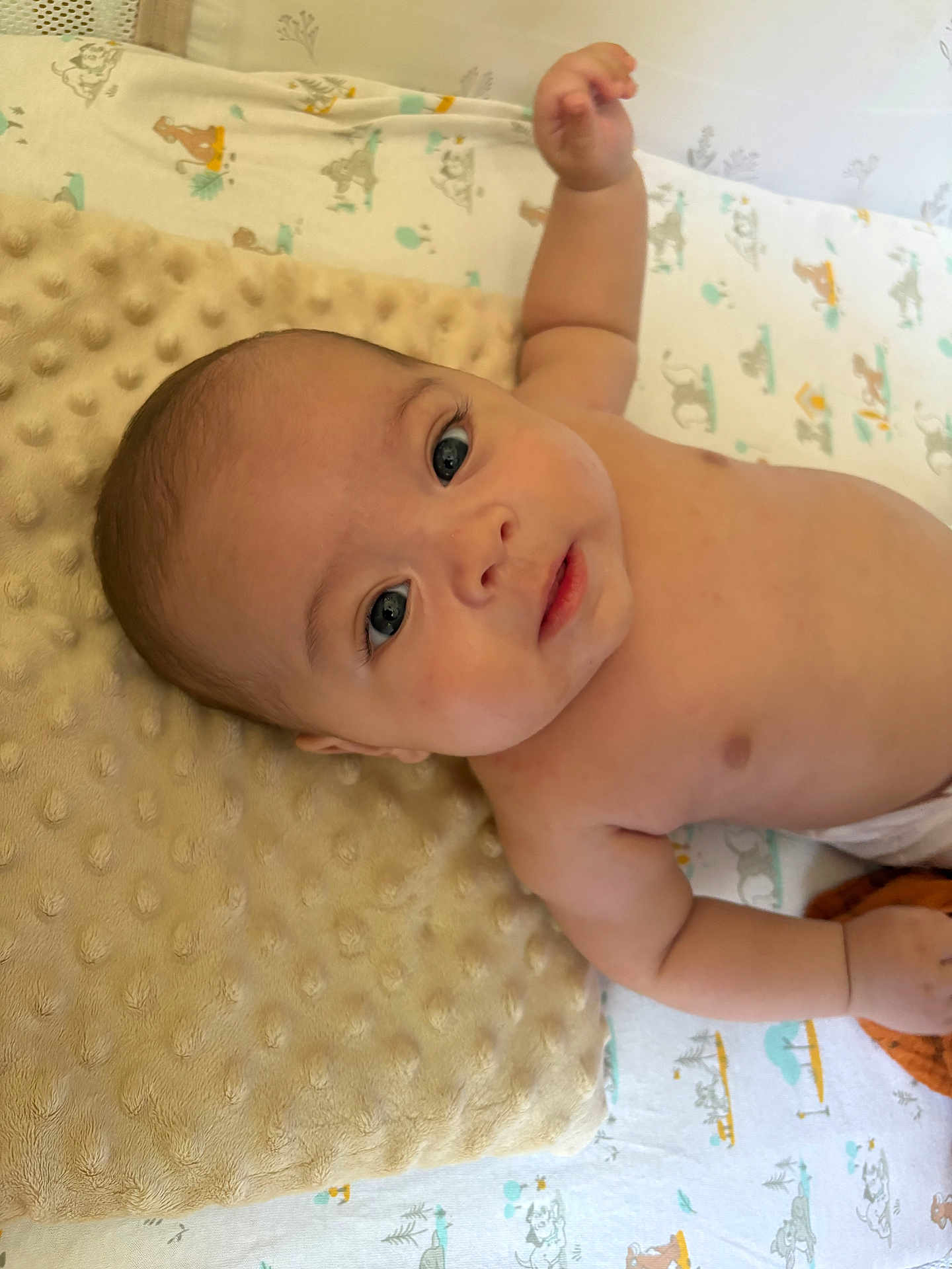 Arnaud a rejoint le concours — aidez-le/la à gagner de superbes lots ! animal_print, arm, baby, bed, blanket, child, cute, expression, eyes, face, hand, indoors, infant, lying_down, mouth, nap_time, newborn, pillow, skin, soft_texture