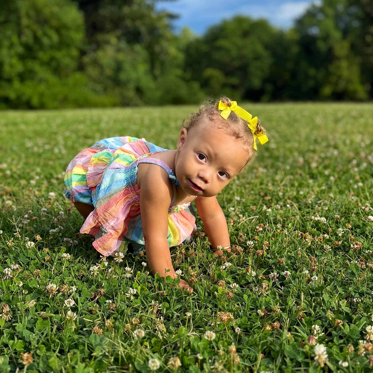 Truce joined the competition — help win amazing prizes! toddler, child, grass, field, outdoor, greenery, clover, yellow_bows, colorful_dress, crawling, nature, sky, clouds, summer, portrait, cute, curious, young_child, daylight, playful