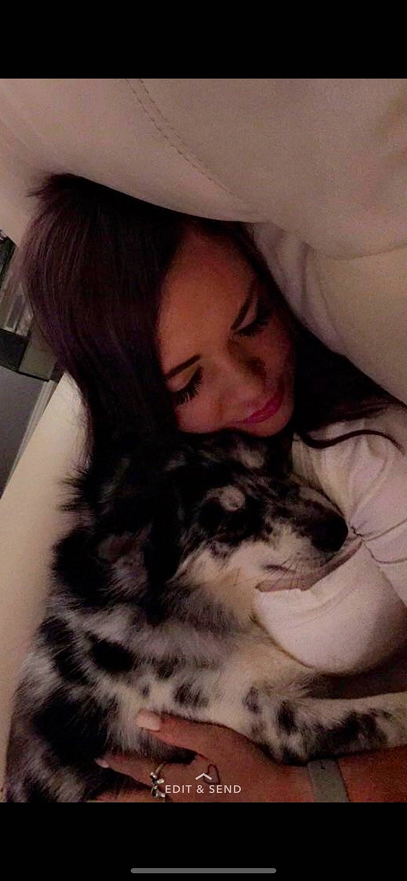 Ava is registered to the contest to win money with this photo: carnivore, cat, comfort, companion_dog, dog_breed, ear, eye, fawn, felidae, gesture, happy, lap, long_hair, mammal, nose, skin, small_to_medium_sized_cats, smile, textile, whiskers