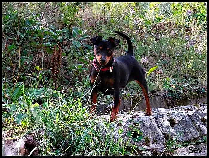 Fiona