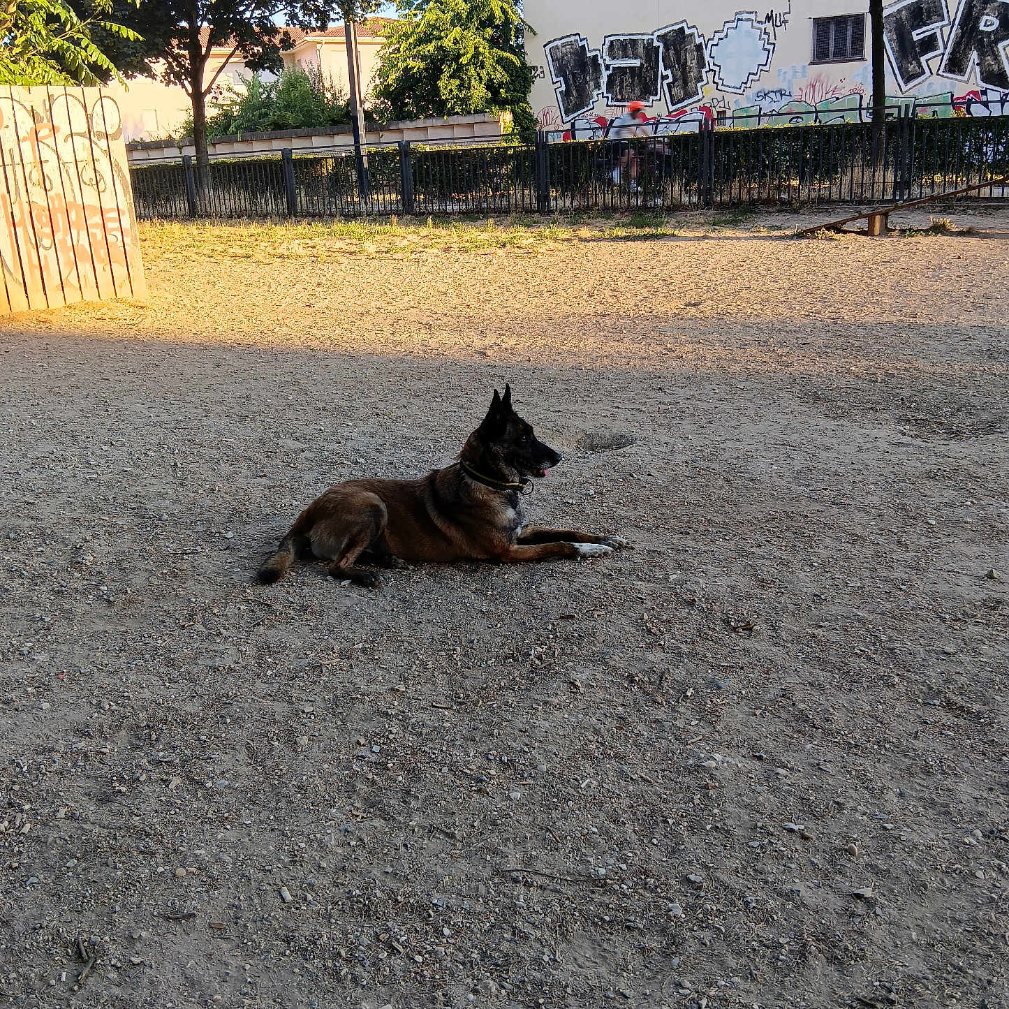Roxie