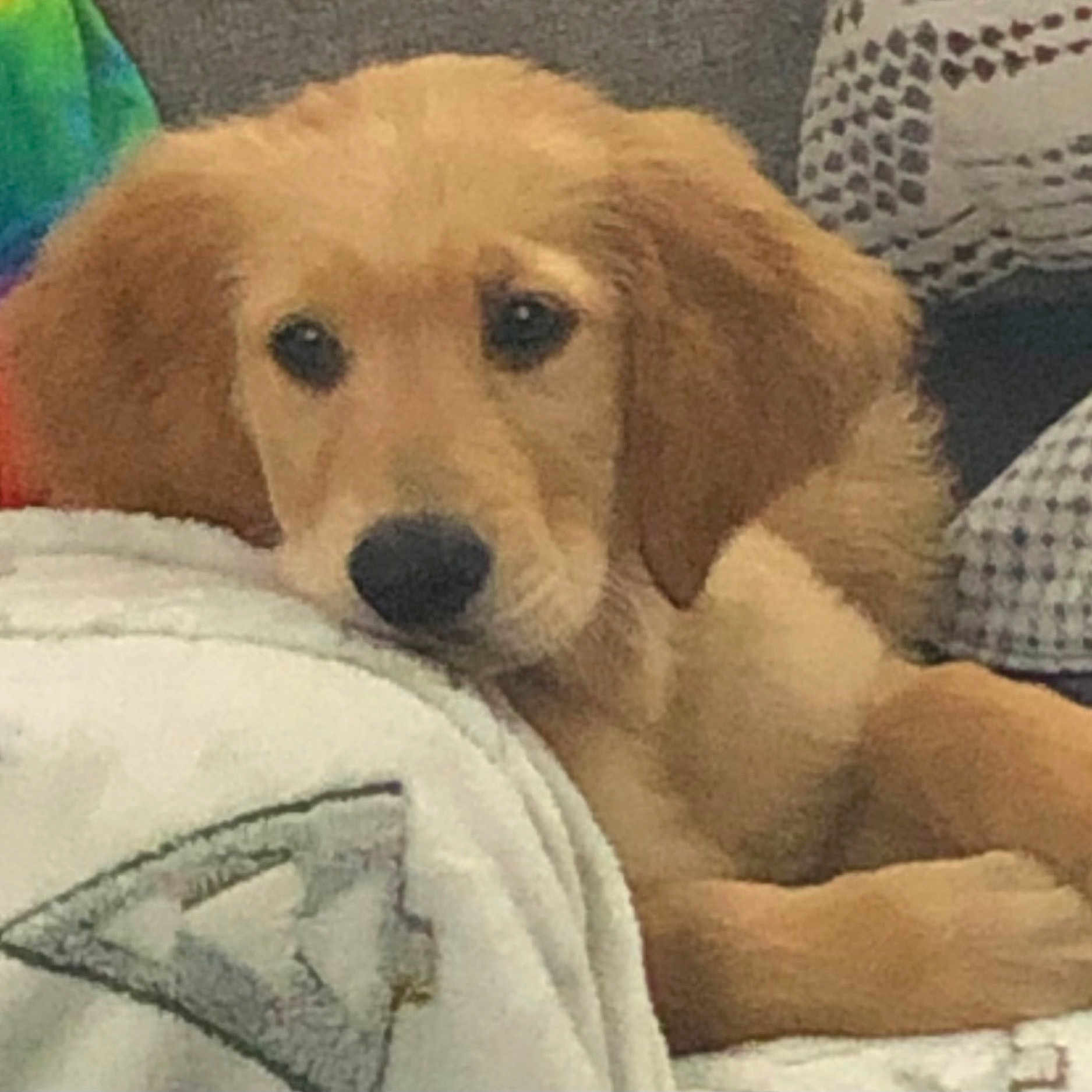 Remington