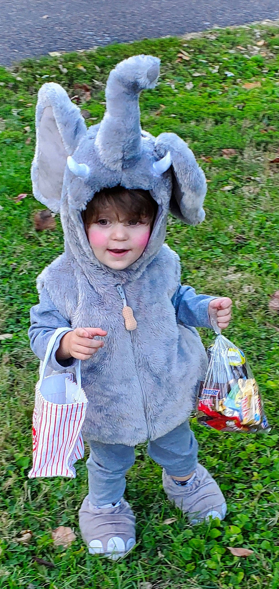 Gauge is registered to the contest to win money with this photo: child, costume, ear, easter_bunny, person, toddler