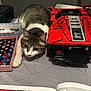 cat, tabby_cat, lego, lego_car, toy, table, instruction_manual, indoor, pet, curious, gray_wall, chair, box, building_blocks, hobby, close_up, playful, relaxed, domestic_animal, feline