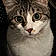 Twyla