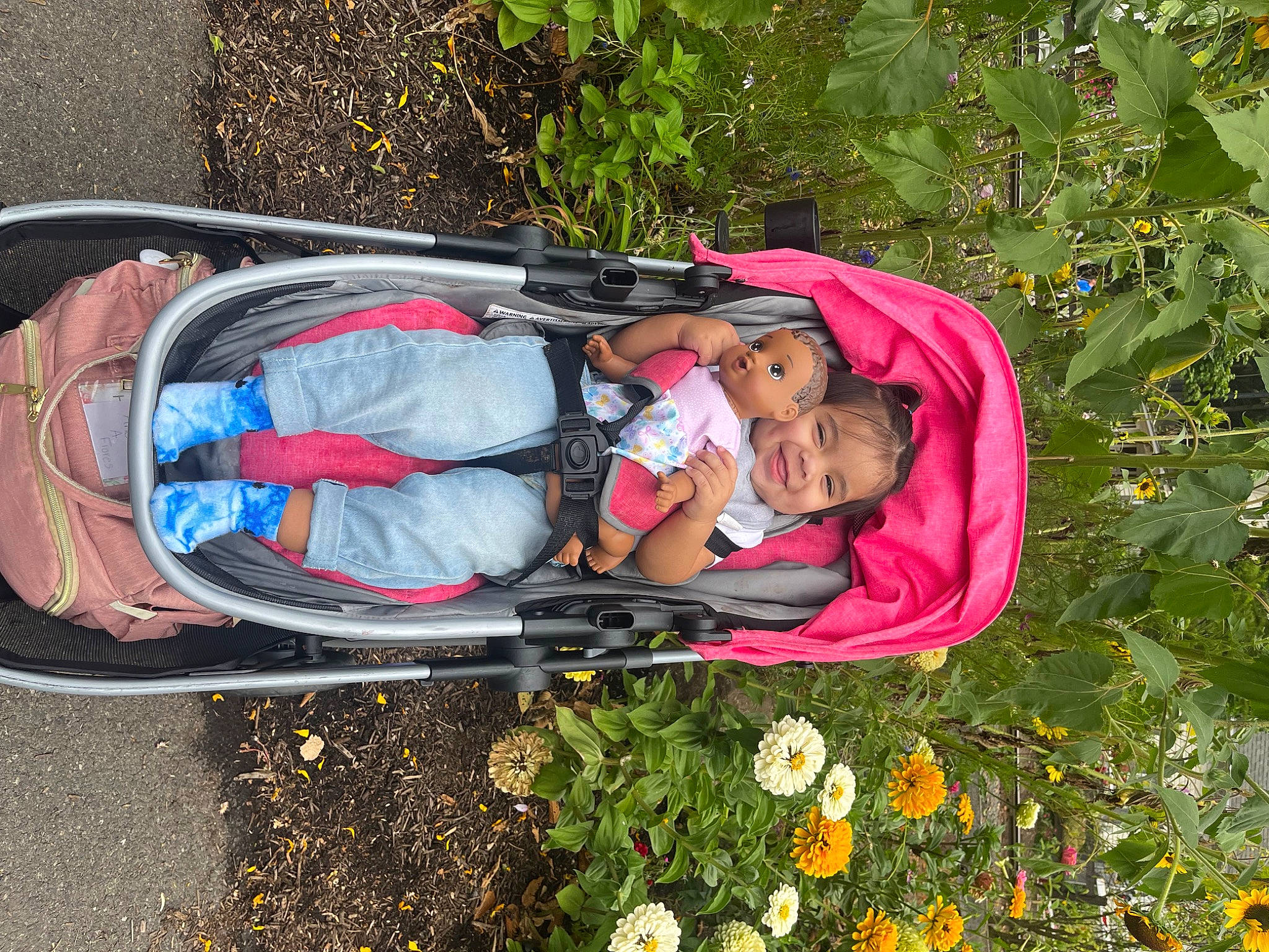 Ariel joined the competition — help win amazing prizes! annual_plant, automotive_exterior, baby, baby_products, bag, flower, grass, joy, leisure, luggage_and_bags, motor_vehicle, people_in_nature, person, petal, plant, recreation, rose, shrub, tire, toddler