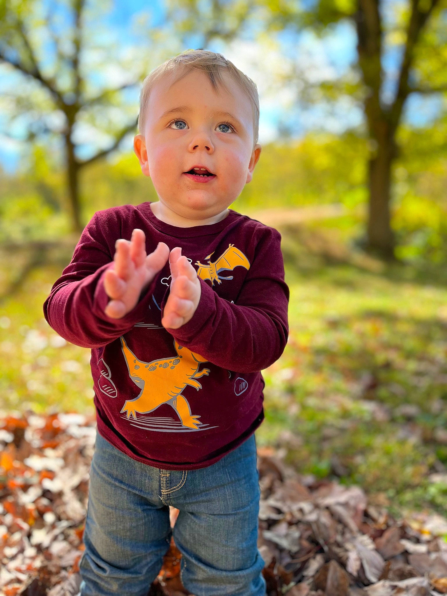Malakai is registered to the contest to win money with this photo: baby, child, clothing, flash_photography, fun, gesture, grass, hairstyle, happy, head, jeans, orange, people_in_nature, person, plant, smile, sunlight, t_shirt, toddler, tree
