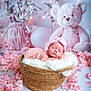 newborn, baby, basket, sleeping, pink_flowers, teddy_bear, soft_texture, floral_arrangement, headband, cozy, cute, infant, decorative, pastel_colors, studio_photo, peaceful, portrait, baby_clothing, white_fur, props
