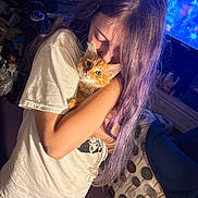 Cheeto Moe Nico joined the competition — help win amazing prizes! affection, carpet, casual, cat, clothing, couch, cozy, curious, furniture, home, hug, indoor, kitten, long_hair, orange_cat, person, purple_hair, shorts, television, tshirt