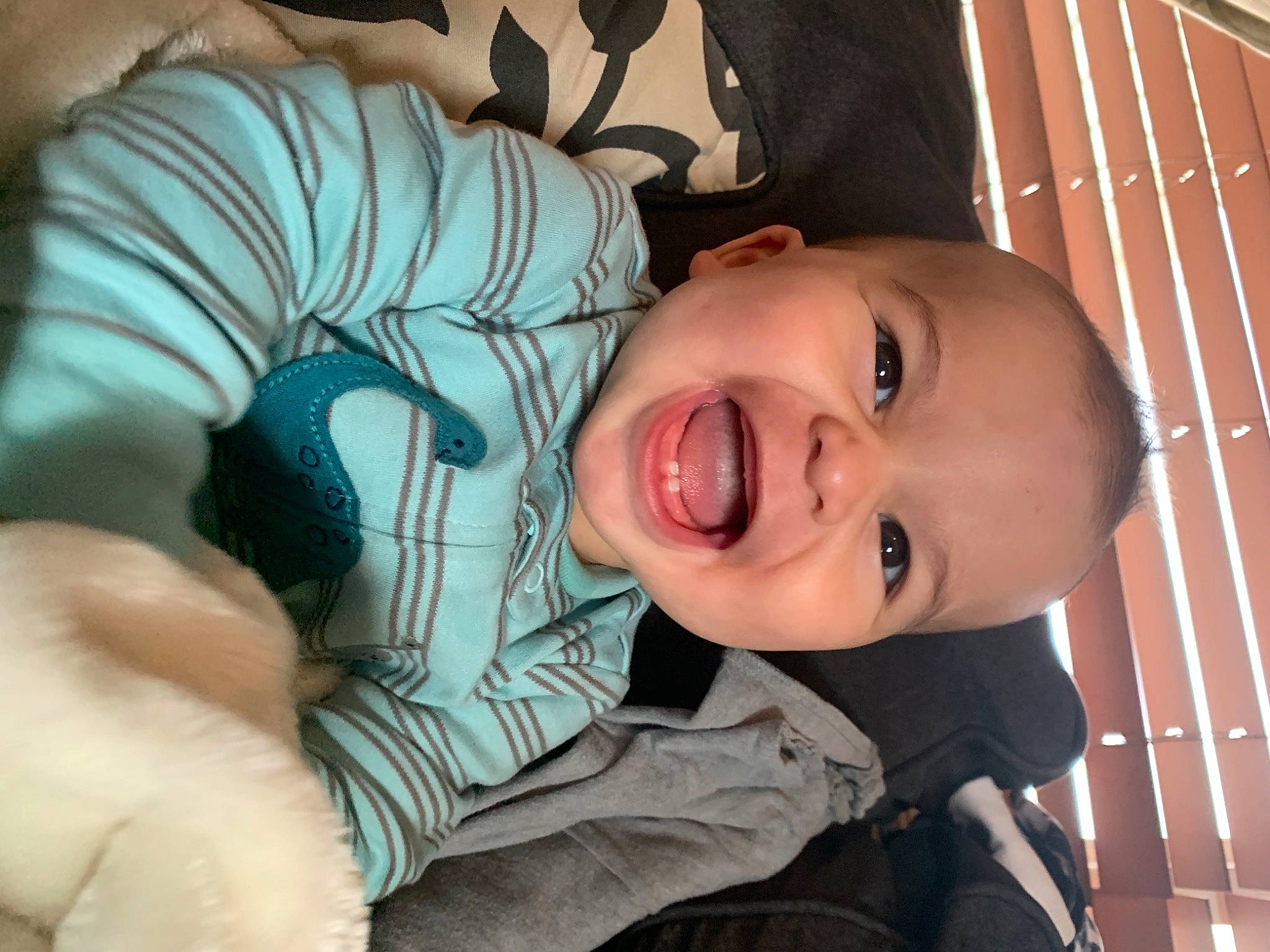 Kenai is registered to the contest to win money with this photo: baby, cheek, child, cool, facial_expression, head, mouth, muscle, neck, person, skin, smile