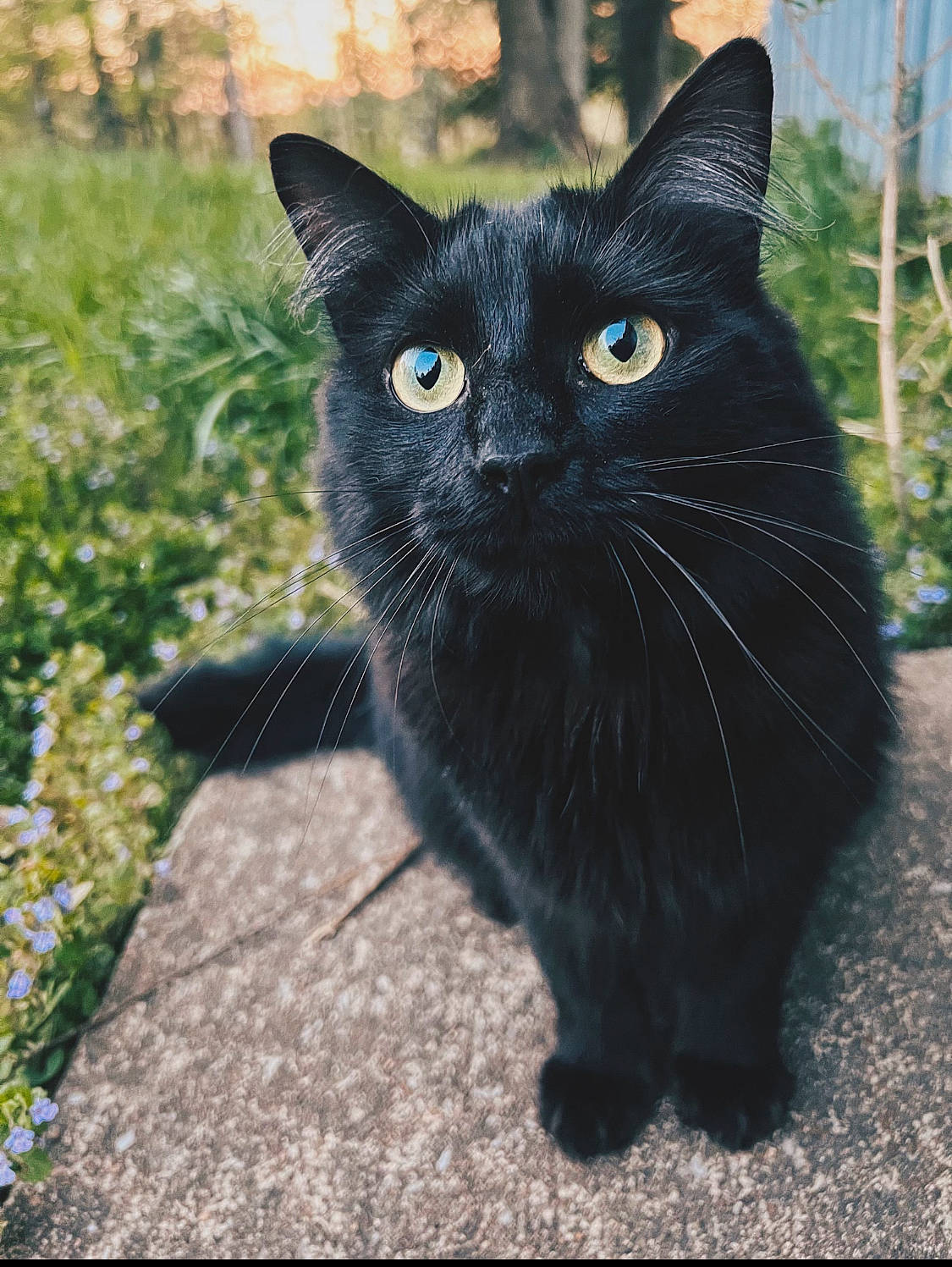 Salem