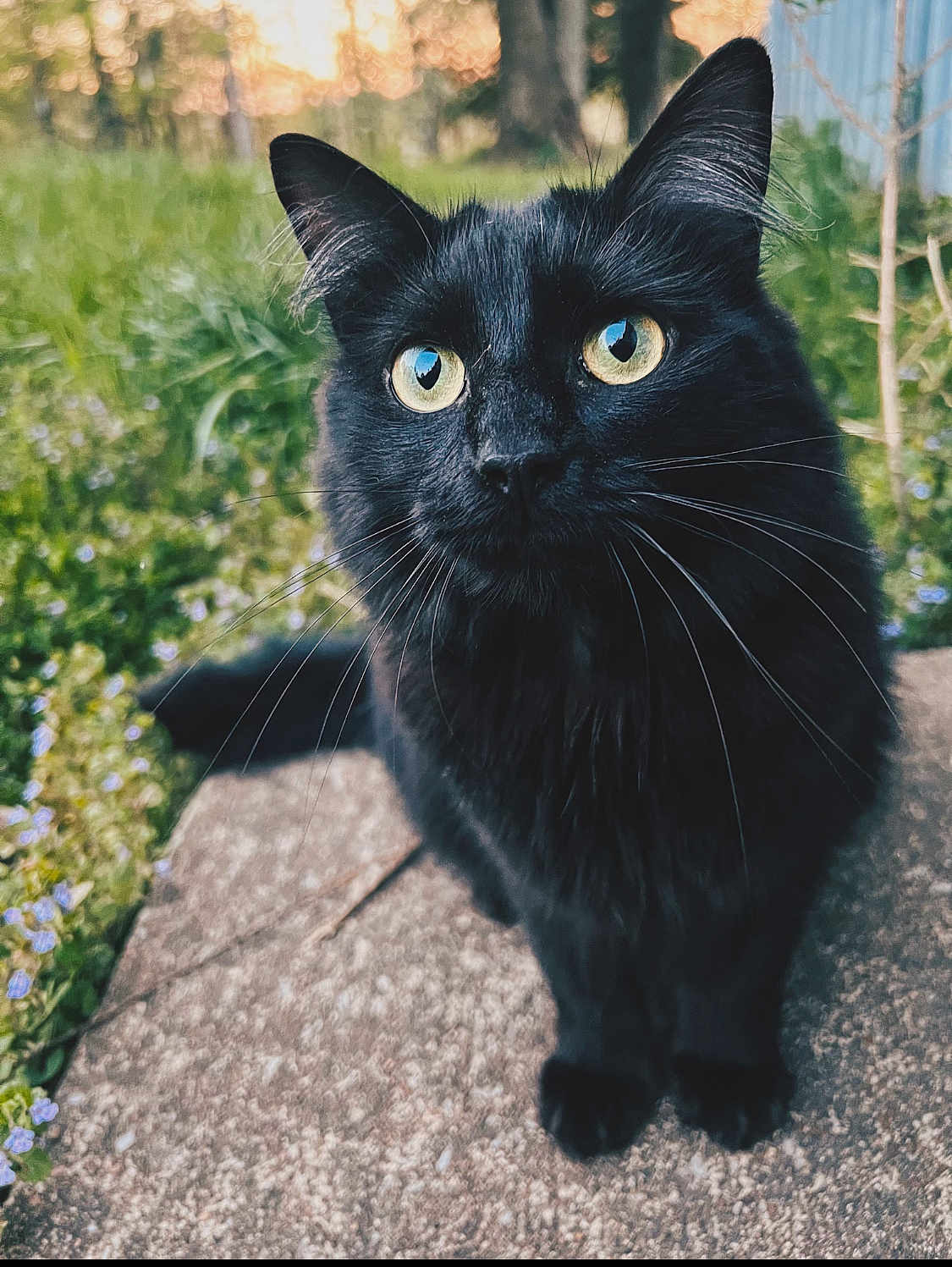 Salem