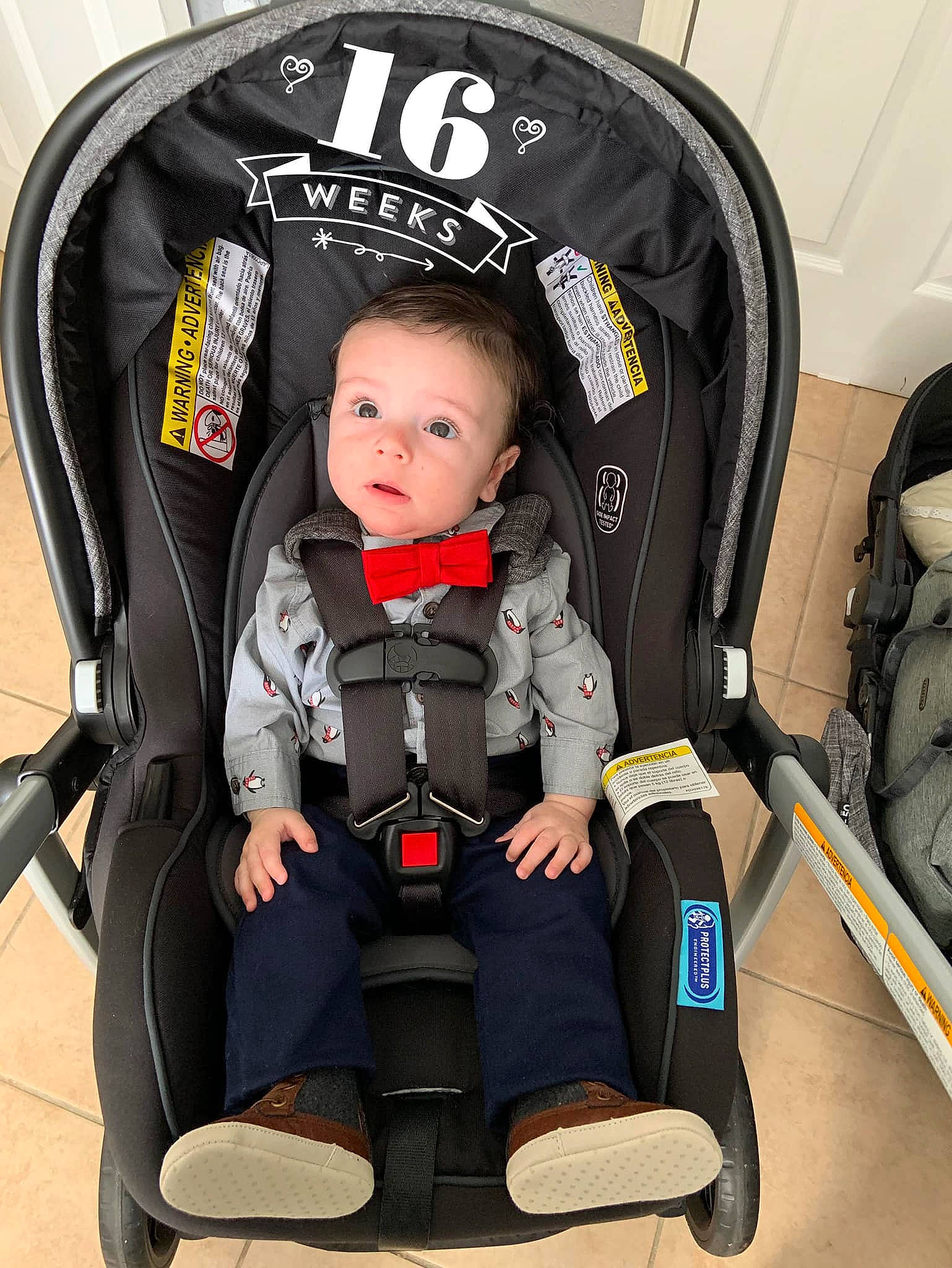 Erick is registered to the contest to win money with this photo: baby, baby_carriage, baby_carrier, baby_in_car_seat, baby_products, car_seat, car_seat_cover, child, comfort, person, product, toddler