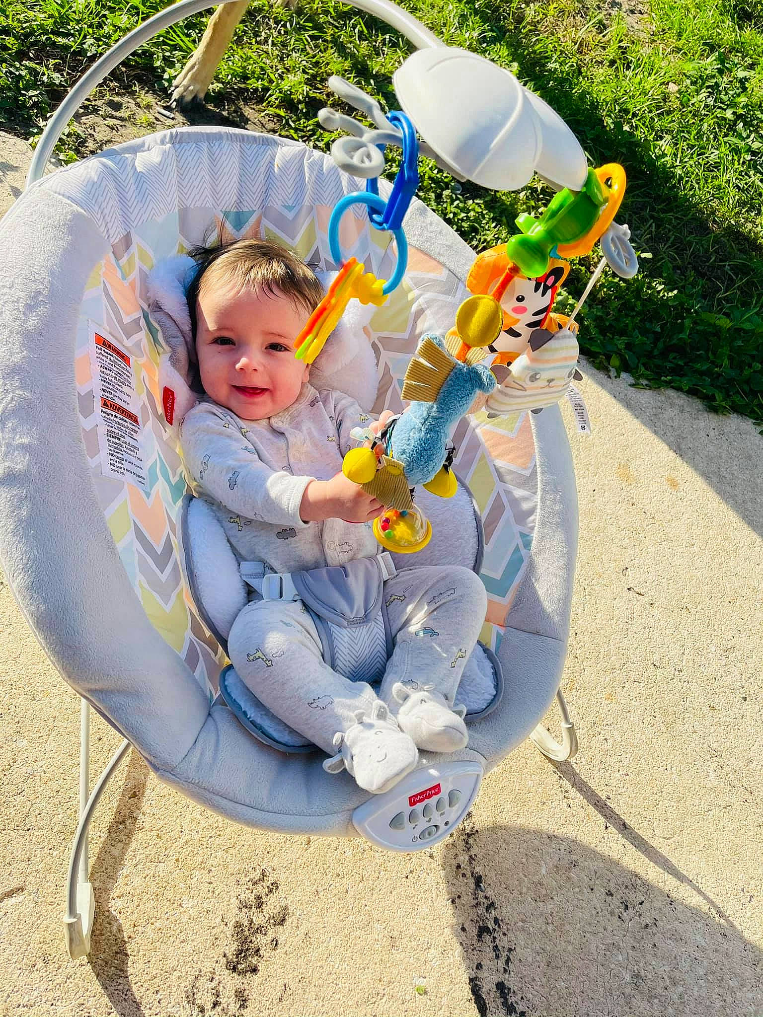 Erick is registered to the contest to win money with this photo: baby_products, child, fun, leisure, outdoor_play_equipment, person, play, playground, product, public_space, recreation, sitting, swing, toddler, vacation