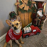 Tillie is registered to the contest to win money with this photo: carpet, christmas, christmas_decorations, cute, decor, dog, festive, holiday, holiday_season, indoor, merry_christmas, pet, pine_needle_garland, red_sweater, ribbon_bow, santa_figurine, small_dog, snowman_figurine, toy_truck, wooden_sled