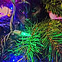 cat, black_cat, christmas_tree, christmas_lights, ornament, holiday, greenery, closeup, night, festive, decorations, twinkling_lights, curious, animal, pet, indoor, colorful, reflection, face, branches