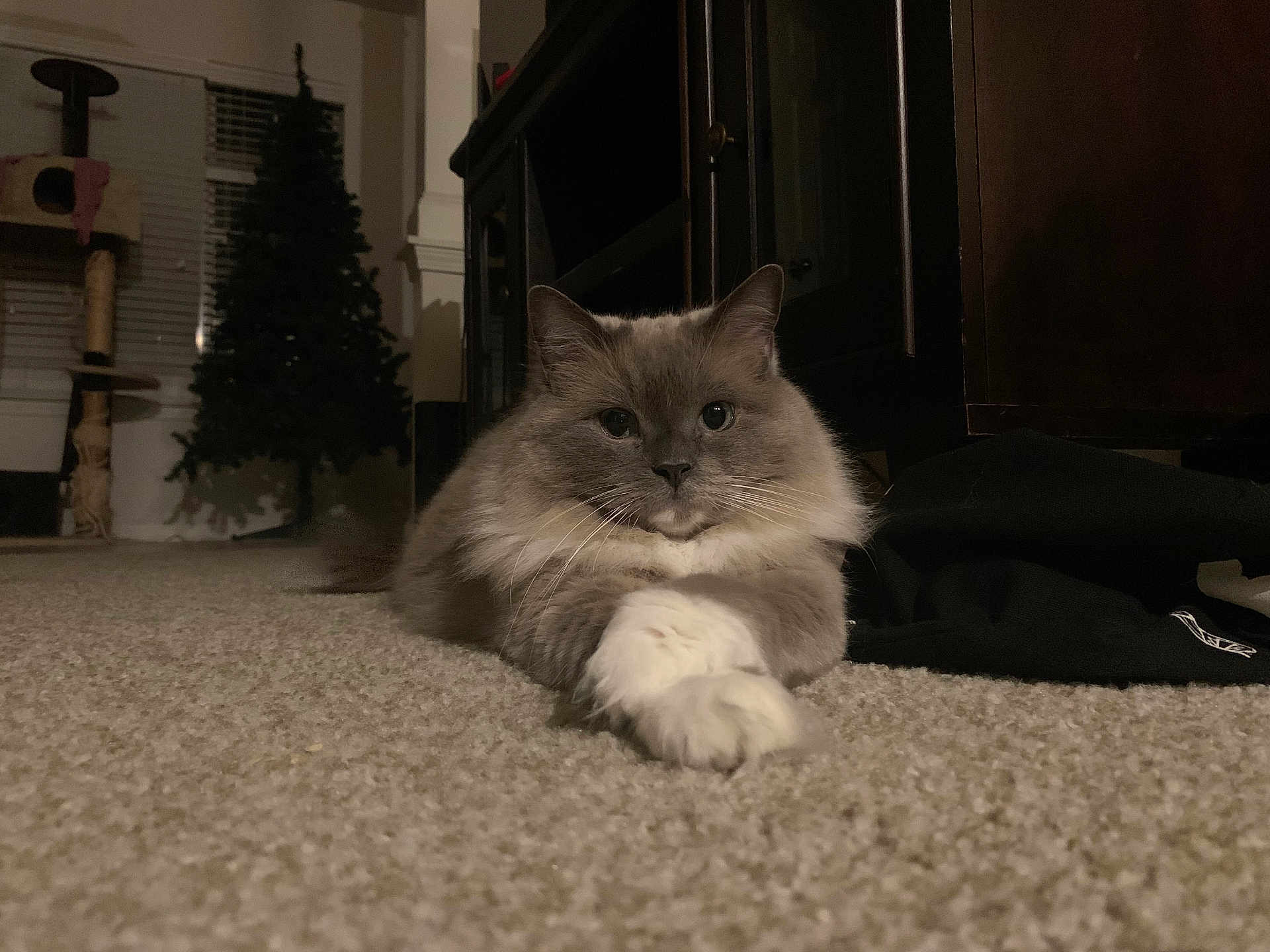 Kitkat