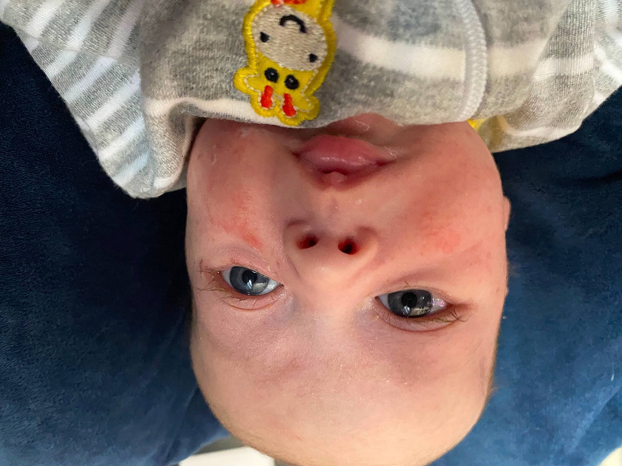 Dallas joined the competition — help win amazing prizes! baby, cap, cheek, chin, cool, ear, eye, eyebrow, eyelash, finger, gesture, headgear, lip, mouth, neck, nose, person, skin, sleeve, toddler