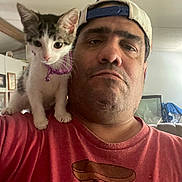 Ranger joined the competition — help win amazing prizes! man, kitten, cat, indoor, shoulder, cap, collar, bell, red_tshirt, facial_expression, furniture, living_room, curious, pet, animal, portrait, casual, headwear, person, closeup