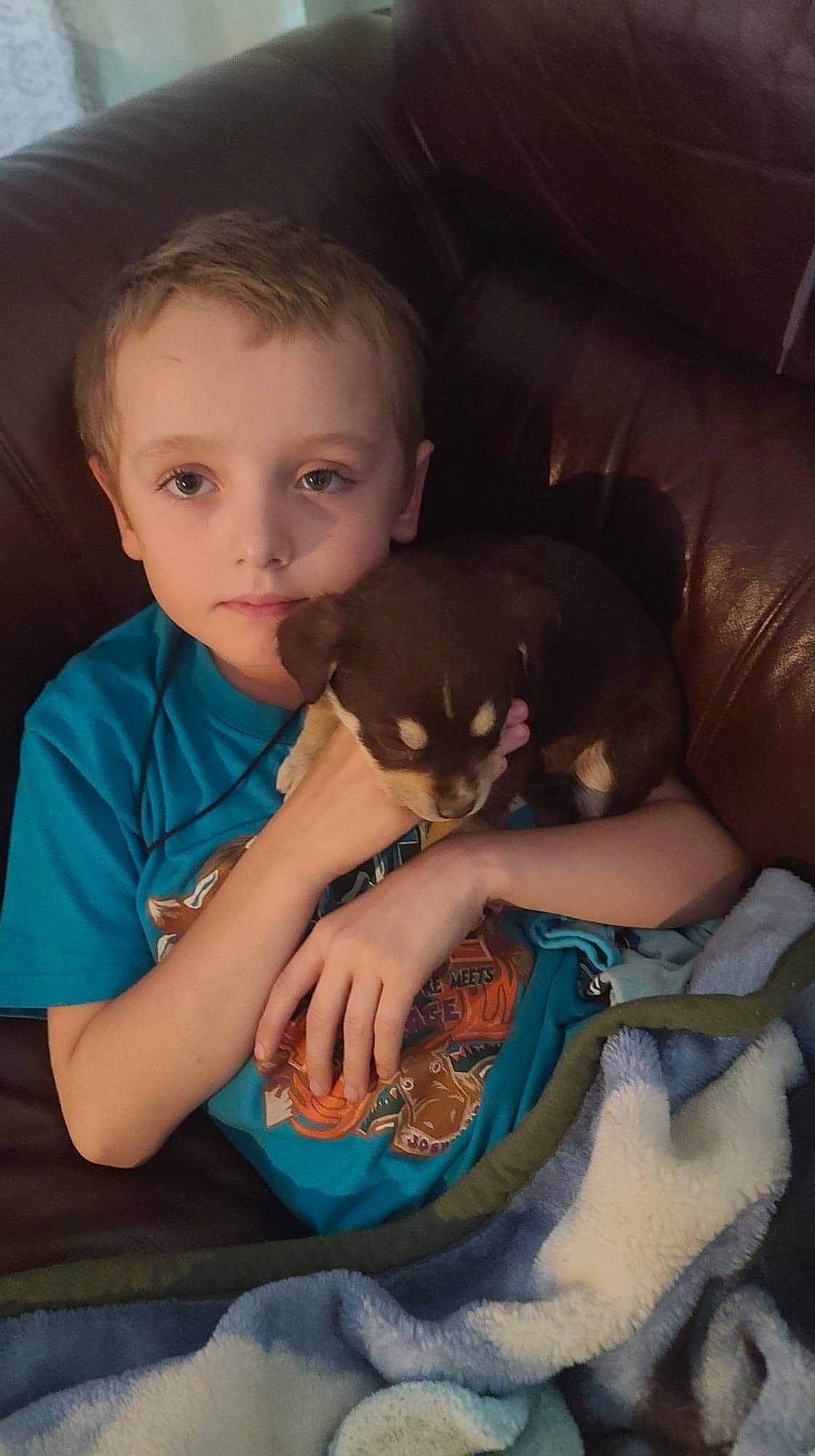 Robert joined the competition — help win amazing prizes! carnivore, child, comfort, companion_dog, couch, ear, fawn, felidae, fun, hairstyle, happy, human_body, iris, lap, mammal, mouth, nail, person, skin, small_to_medium_sized_cats