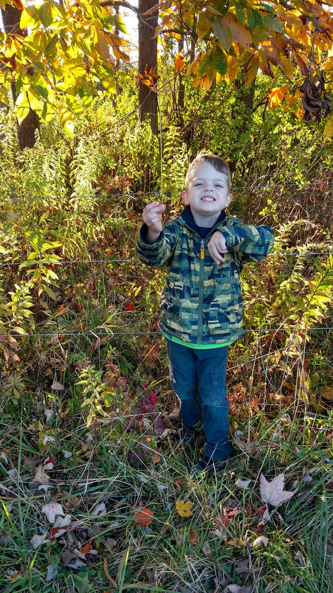 Broderick joined the competition — help win amazing prizes! autumn, botany, forest, grass, joy, leaf, people_in_nature, person, plant, shrub, tree, woodland