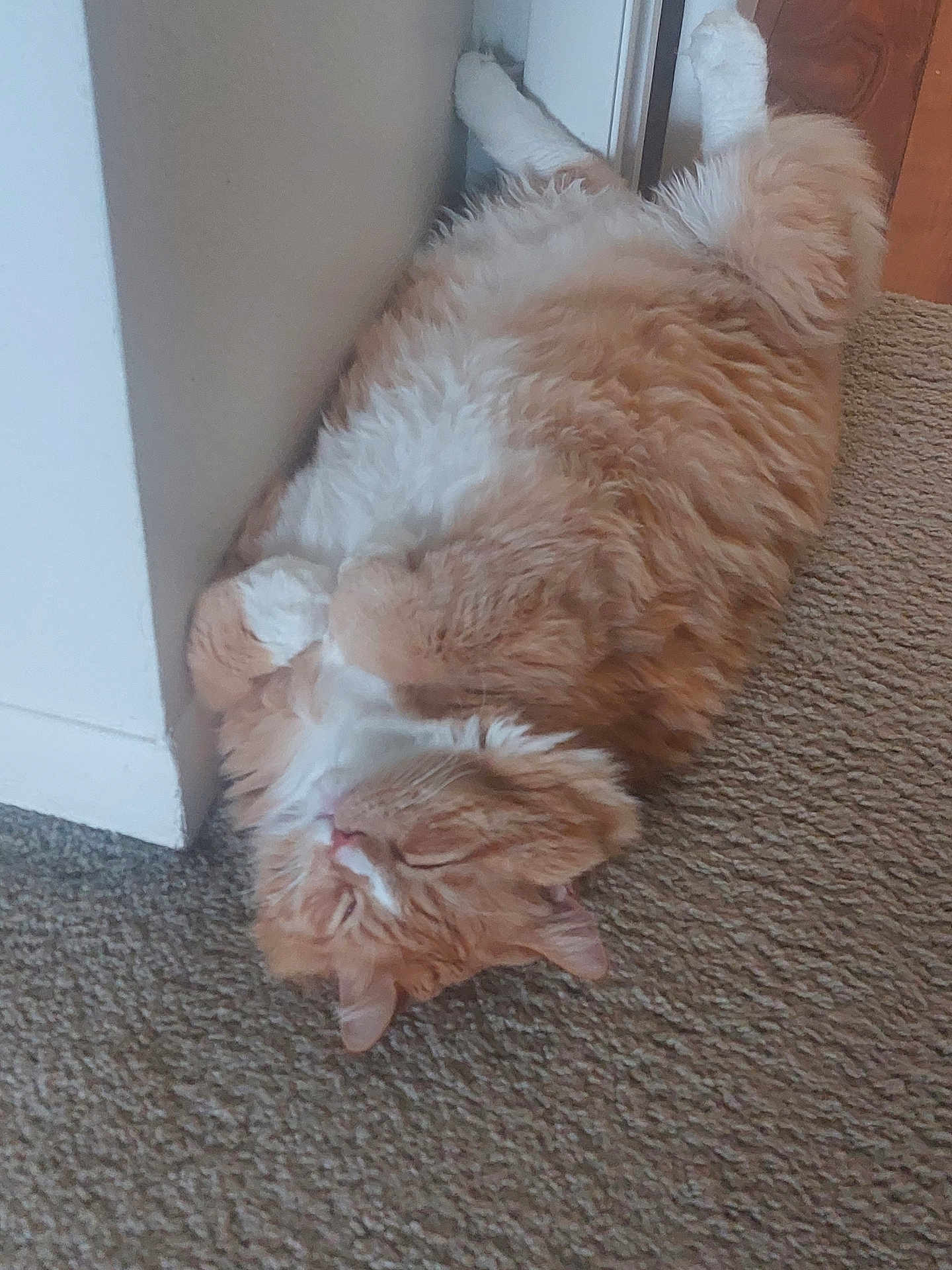 Eddie