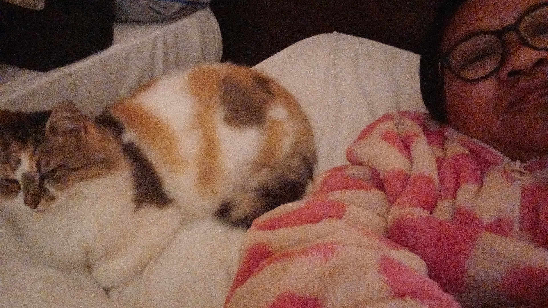 Praline