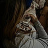 Nala is registered to the contest to win money with this photo: blanket, casual_clothing, cat, close_up, comfort, cozy, hand, home, indoor, intimate, long_hair, person, pet, quilt, relaxing, resting, sitting, sleeping, soft_lighting, tattoo