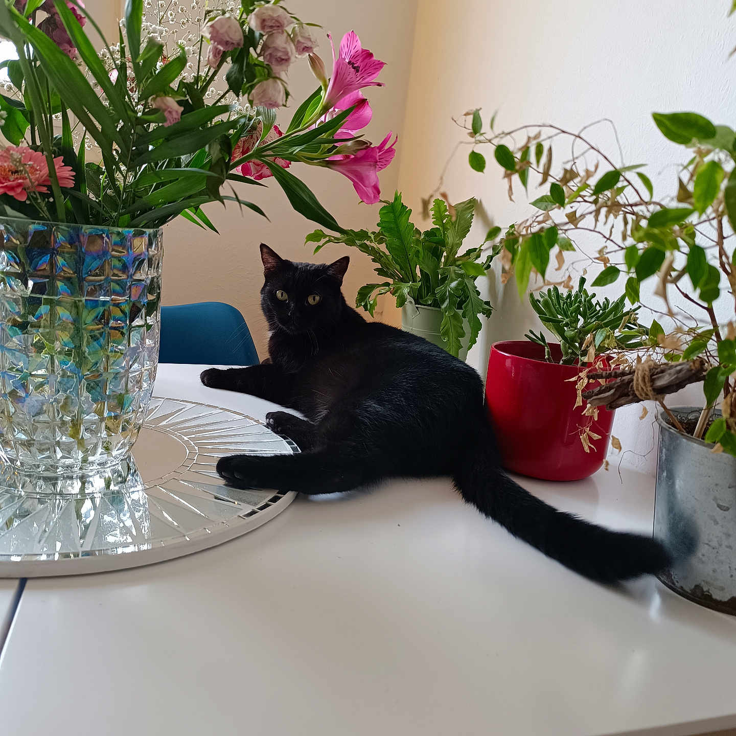 Baguerra