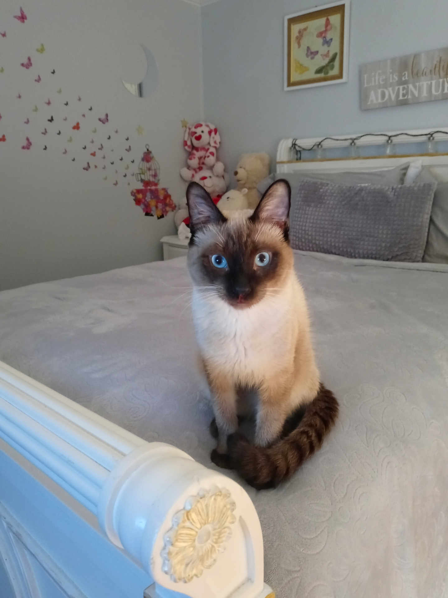 Max