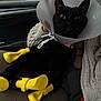 Soso is registered to the contest to win money with this photo: cat, black_cat, e_collar, cone, yellow_boots, pet_boots, car_seat, seatbelt, knit_sweater, human_hand, window, paws, closeup, travel, vehicle_interior, recovery, pet_owner, sitting, animal_portrait, veterinary_visit