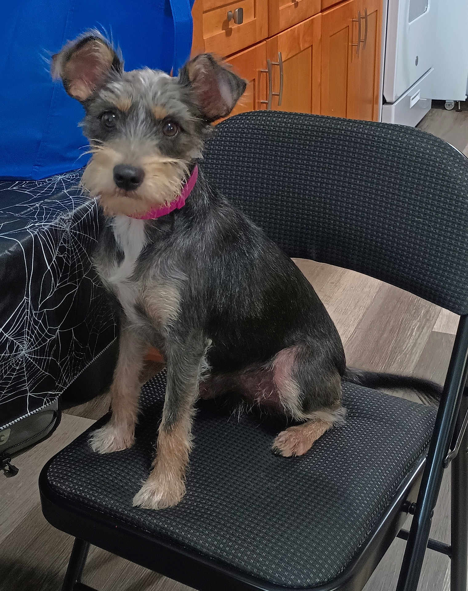 Millie