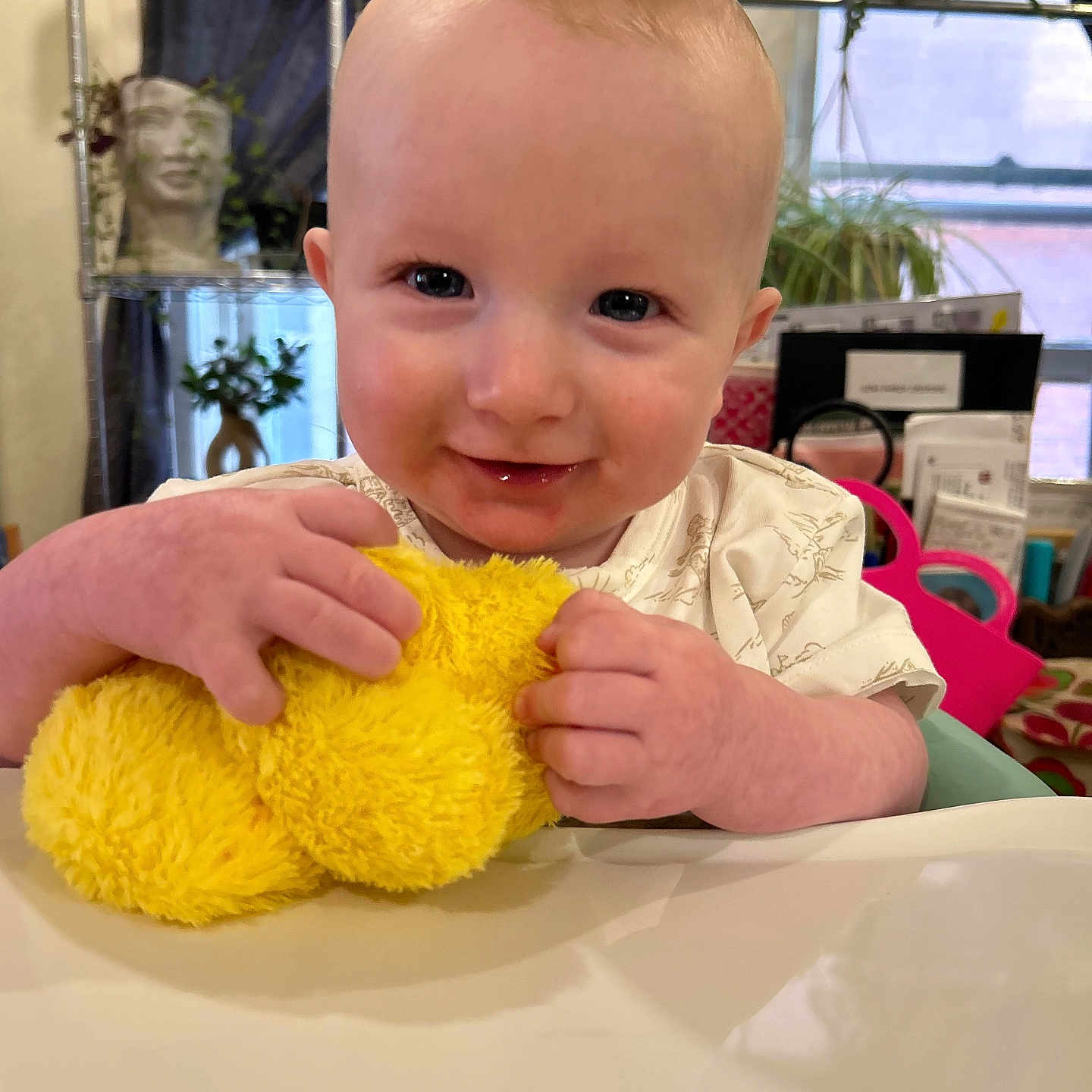 Mason is registered to the contest to win money with this photo: baby, bright, child, cute, expression, face, furniture, hands, happy, holding, indoor, infant, person, plant, portrait, smiling, table, toy, window, yellow