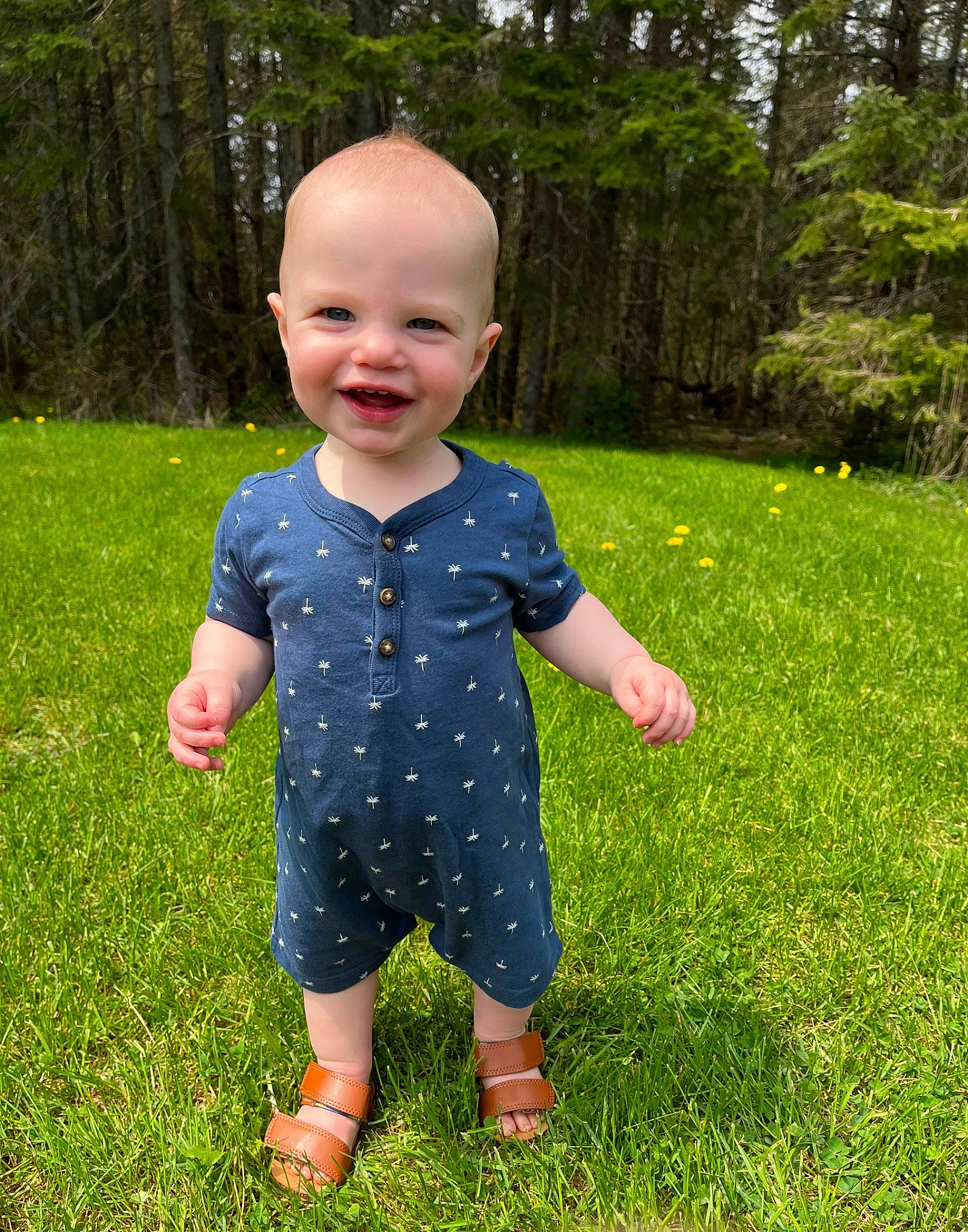 Layne is registered to the contest to win money with this photo: baby_toddler_clothing, facial_expression, fun, gesture, grass, grass_family, grassland, groundcover, happy, joy, lawn, leaf, leisure, meadow, pattern, people_in_nature, person, plant, sleeve, smile