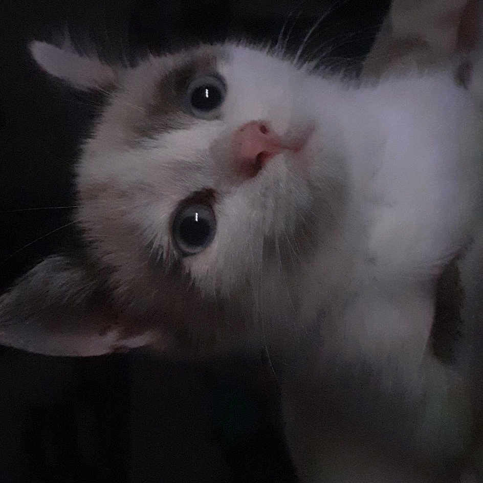 Yumi