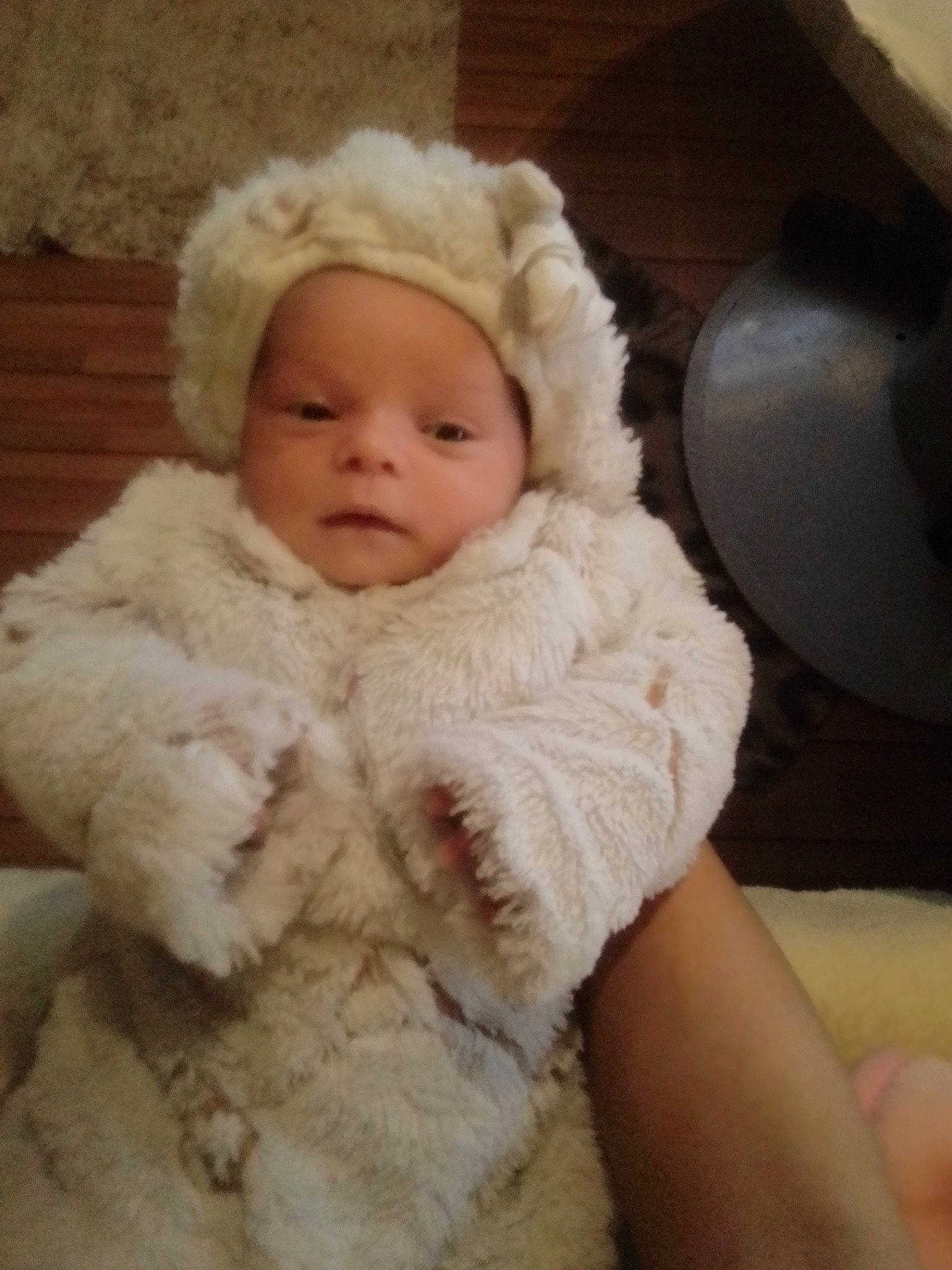 Liliana a rejoint le concours — aidez-le/la à gagner de superbes lots ! animal_product, baby, baby_toddler_clothing, cheek, fur, fur_clothing, natural_material, organ, person, skin, textile, toddler, wool