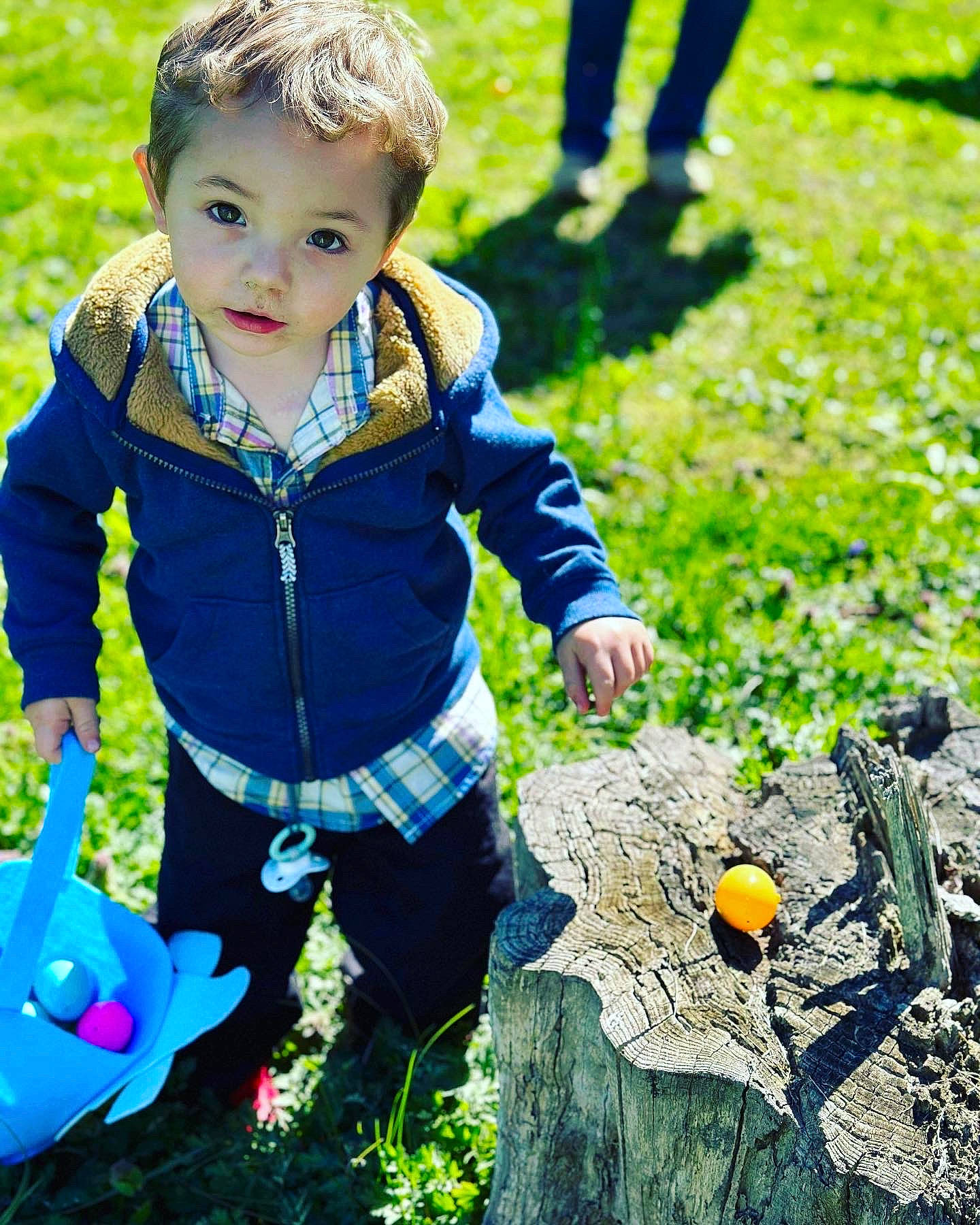 Tanner Flannery is registered to the contest to win money with this photo: baby_toddler_clothing, botany, child, eye, fun, grass, green, happy, head, leaf, leisure, natural_environment, nature, people_in_nature, person, photograph, plant, sunlight, toddler, wood