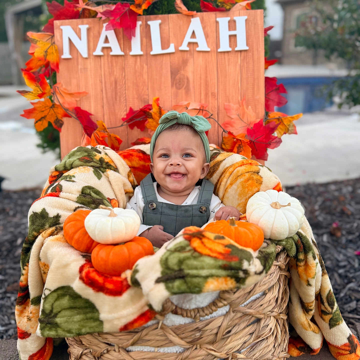 Nailah is registered to the contest to win money with this photo: autumn, baby, basket, blanket, child, cozy, cute, decor, fall_leaves, greenery, happy, headband, nature, outdoor, person, portrait, pumpkin, seasonal, smiling, wooden_sign