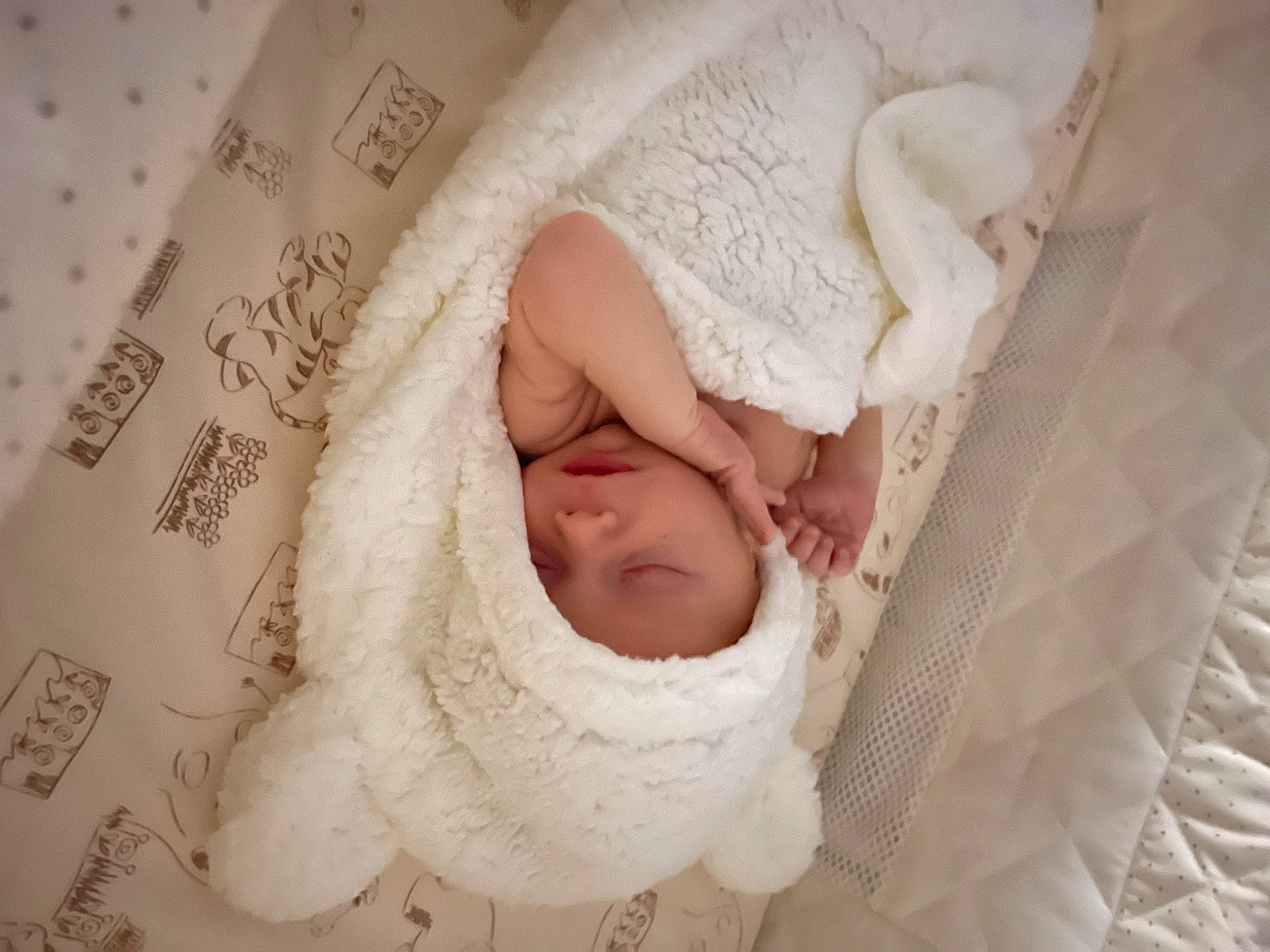 Chandler is registered to the contest to win money with this photo: baby, baby_products, baby_safety, baby_sleeping, baby_toddler_clothing, bedding, child, comfort, fashion_accessory, fur, hand, head, headgear, headwear, infant_bed, linens, pattern, peach, person, sleeve