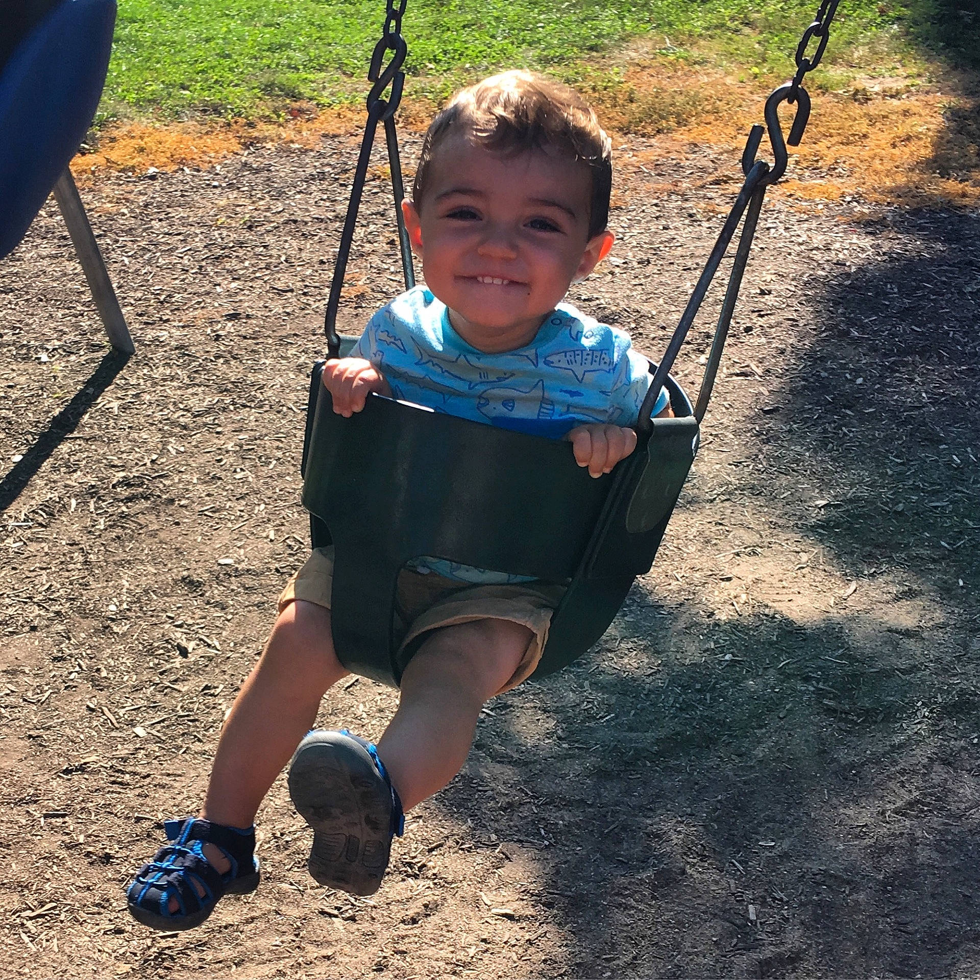 Reed is registered to the contest to win money with this photo: child, day, fun, girl, grass, joy, outdoor_play_equipment, person, play, playground, public_space, recreation, sitting, smile, summer, swing, toddler, tree, vacation