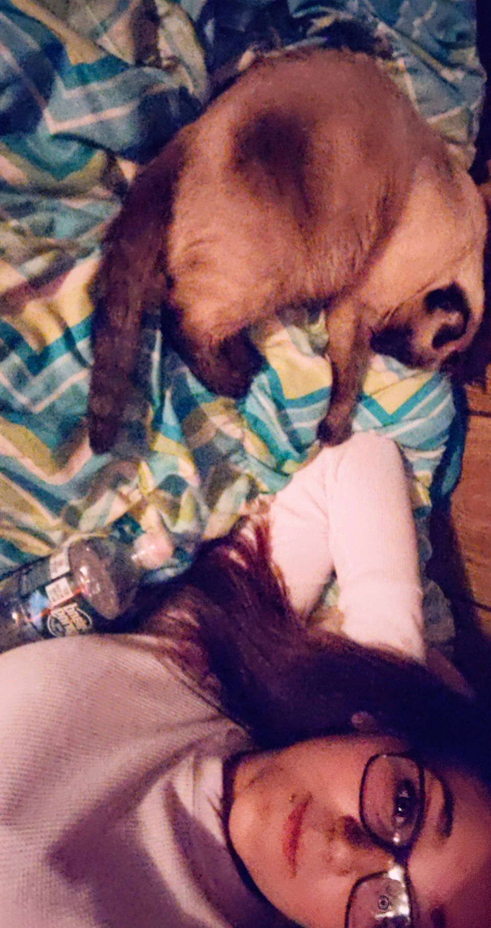 Luna is registered to the contest to win money with this photo: canidae, fawn, human, photography, puppy_love, selfie